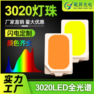 3020ֲ{tϹȫVL0.2w0.5w1w ledNƬ