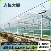 定制各種規格連棟溫室大棚 鍍鋅鋼管骨架棚 陽光薄膜蔬菜連體大棚