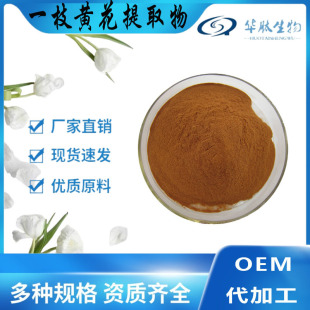 一支黃花提取物 10:1/20/30/50:1比例萃取一枝黃花黃酮 原料|