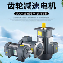 減速電機380V卧式立式400W750W變頻調速三相電動機齒輪減速機定制