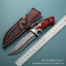 跨境爆款 戶外直刀破羽野營求生剔骨刀鋒利耐用高硬度小直刀