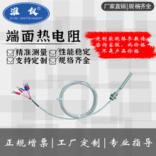 工廠定制-WZPM-201端面熱電阻耐高溫防水螺紋固定表面平面Pt100