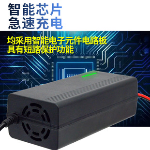 12V8電池充電器 汽車電瓶充電器 摩托車電瓶充電器 12V電瓶充電器