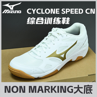 MizunoЬŮ͸p鸌IC\ëЬ