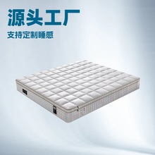 佛山廠家生產全拆式0膠水床墊家用獨立彈簧床墊抗菌防蟎床墊廠家