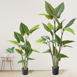 ins風仿生綠植彩虹芋樹家居盆栽擺件加厚葉片滴水觀音仿真樹批發
