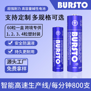 ˹̖|늳رUTiAA1.5V2400MAH5̖|늳