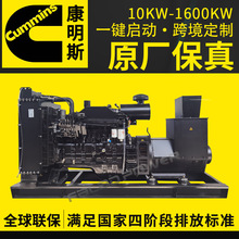 發電機 東風康明斯150kw柴油發電機組 畜牧養殖純銅無刷發電機廠