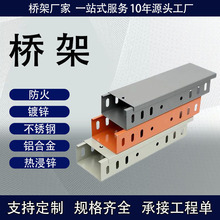 定制防火噴塑橋架顏色規格齊全廠家定做鍍鋅電纜走線架防火橋架