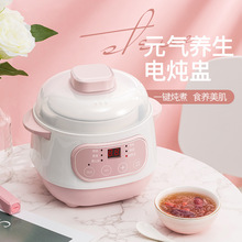 電燉鍋全自動家用陶瓷多功能隔水燉燕窩煲湯鍋養生電燉盅砂鍋代發