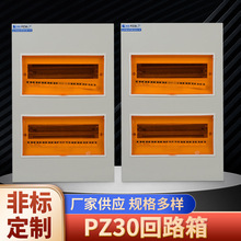 配電箱回路塑料防水暗裝配電箱 戶內開關盒配電箱動力配電櫃PZ30