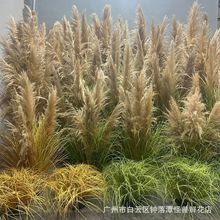真蘆葦蘆葦草仿真植物網紅in風酒店家居商場櫥窗裝飾婚慶影視道具