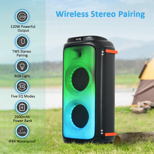 ľ{Dual 6.5 inch  multimedia bluetooth speaker