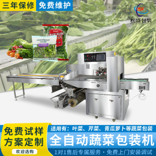 松盛機械廠家現貨供應新式水果套袋機果蔬打包機全自動蔬菜包裝機