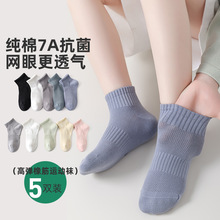 5雙裝純棉兒童網眼襪子純色休閑男女童運動襪無骨中大童短襪透氣