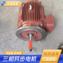 水泵配套三相異步電機廠家 二級2900轉380V大功率鐵殼電動機批發