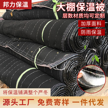 蔬菜大棚保暖毛氈 溫室大棚保溫被 塑料大棚珍珠棉內保溫被棉