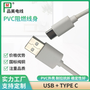 ӹlogo m춰׿Type-C^USB + type C侀