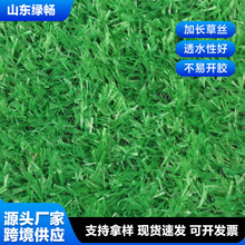 戶外婚禮綠色仿真草坪幼兒園商場裝飾假草皮保護墊建築圍擋草坪