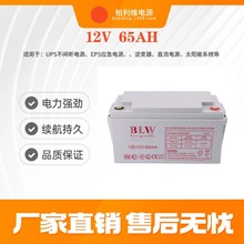 后備ups電池12伏65AH鉛酸蓄電池EPS消防應急系統直流屏電瓶廠家