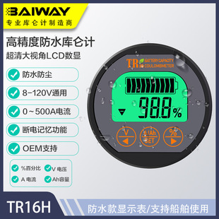 TR16H防水電動車電量 鋰電電壓表 磷酸鐵鋰電量顯示 高精度庫侖計