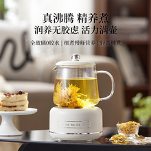 養生壺高硼硅玻璃養生杯帶蓋多功能一人辦公室迷你家用智能燒水壺