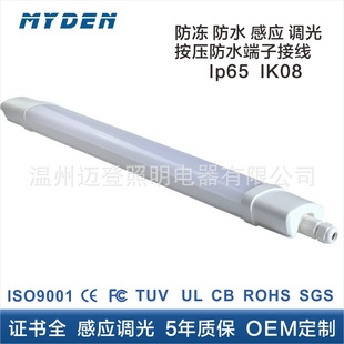 羳WЖ|led40w50ʽӾIP65ˮl