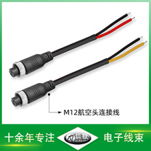M12航空頭連接線滑板車電動車充電線植物燈航空插線光伏防水線束