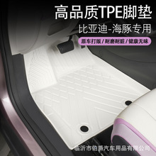適用於比亞迪海豚Dolphin左右舵3D全天候材質TPE/XPE汽車腳墊
