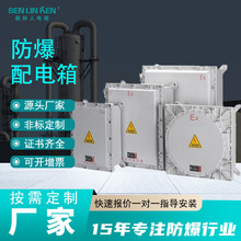 防爆配電箱照明動力控制箱防爆接線箱防爆磁力啟動器斷路器檢修箱