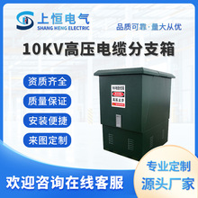 10KV戶外高壓電纜分支箱歐式一進一出一進二出冷軋鋼板噴塑
