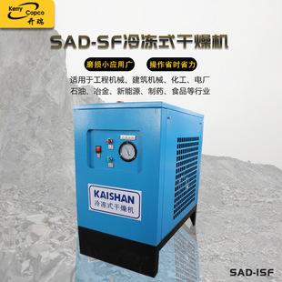 SAD-SFϵ՚əCՉCmÿՉCssIC