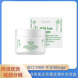 羳ȫӢĬF؛Flyleafɽș˪Wild Yam Cream 113gRdu