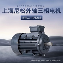 上海尼松外軸三相異步國標電機具體價格咨詢客服