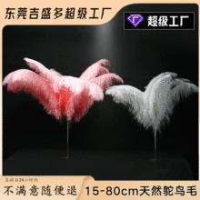 廠家現貨15-80cm鴕鳥毛真羽毛發夾台燈花店會展裝飾婚禮裝飾