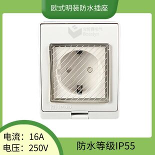 IP55bʽ⾀ Wޑ늘ˮ10A 250V