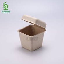 單個本色干壓創意飾品紙漿盒包裝生產廠家 星球狀創意紙漿盒