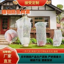 跨境植物防蟲網罩帶拉繩菜地花園果園植物大棚果樹防蟲防鳥罩工具