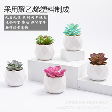 仿真多肉植物綠植裝飾品迷你小擺件組合多肉盆栽盆景批發