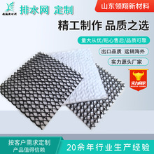 廠家直供三維復合排水網垃圾填埋場公路返濾排水用復合排水網