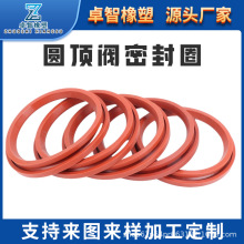 圓頂閥密封圈切換閥密封圈電廠圓頂閥密封圈插入式切換閥密封圈