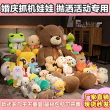 婚慶娃娃結婚拋灑生日活動互動兒童禮品公仔套圈玩偶毛絨玩具批貨