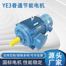 YE3普通節能電機三級能效普通型三項異步電動機普通高效節能電機