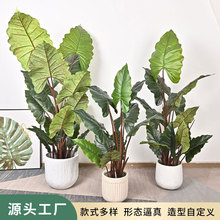 北歐仿真植物彩虹芋假綠植落地盆栽批發室內客廳櫥窗裝飾擺件