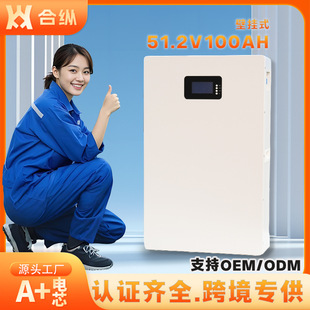 5度電鋰電池壁掛式51.2V100AH磷酸鐵鋰儲能光伏離網儲能電池