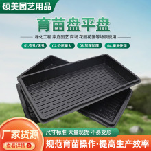 廠家供應無孔加厚長方形育苗盤 塑料底座底盤 簡約加深接水塑料托