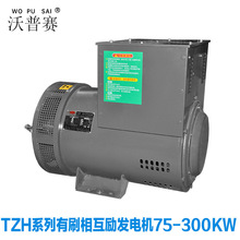 75 80 90 100  120 150 160 180 200 250KW有刷相互勵發電機電球