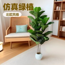 新品特惠琴葉榕盆栽家居室內裝飾綠植大型落地仿真植物仿真大琴葉