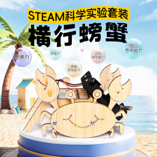 橫行螃蟹 科學實驗手兒童diy木質物理學校教具科技小制作科教