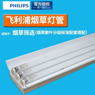 Philipsw֟~ּD65ɫLD36W/952 36W/965